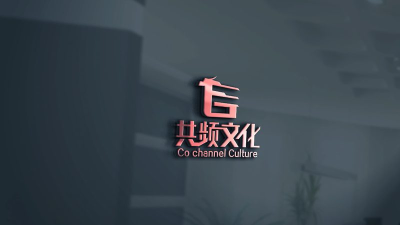 专业纪录片拍摄团队：如何挑选优质合作伙伴