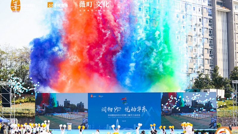 企业VI设计：揭秘其核心内容与重要性**